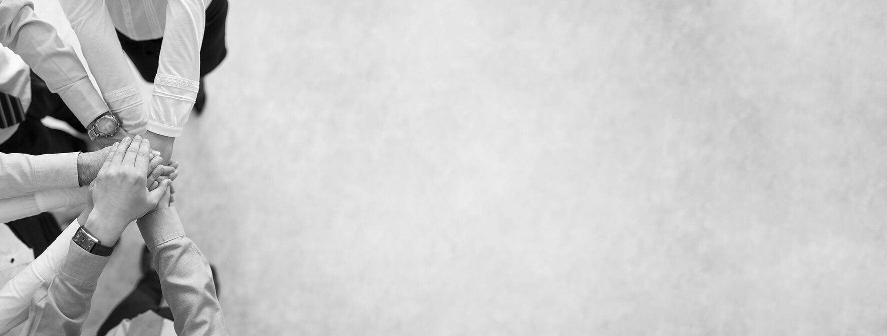 CMS